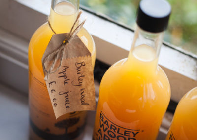 Product photography - Barley Wood Walled Garden.