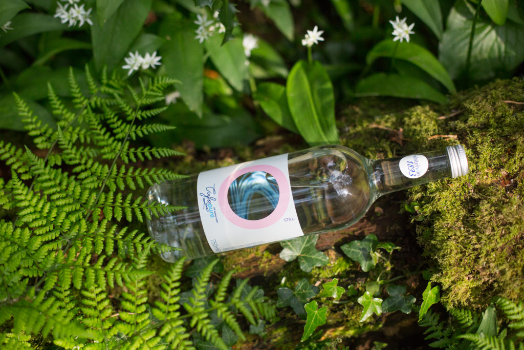 Bottle of mineral water placed on moss covered log, among wild garlic and fern plants