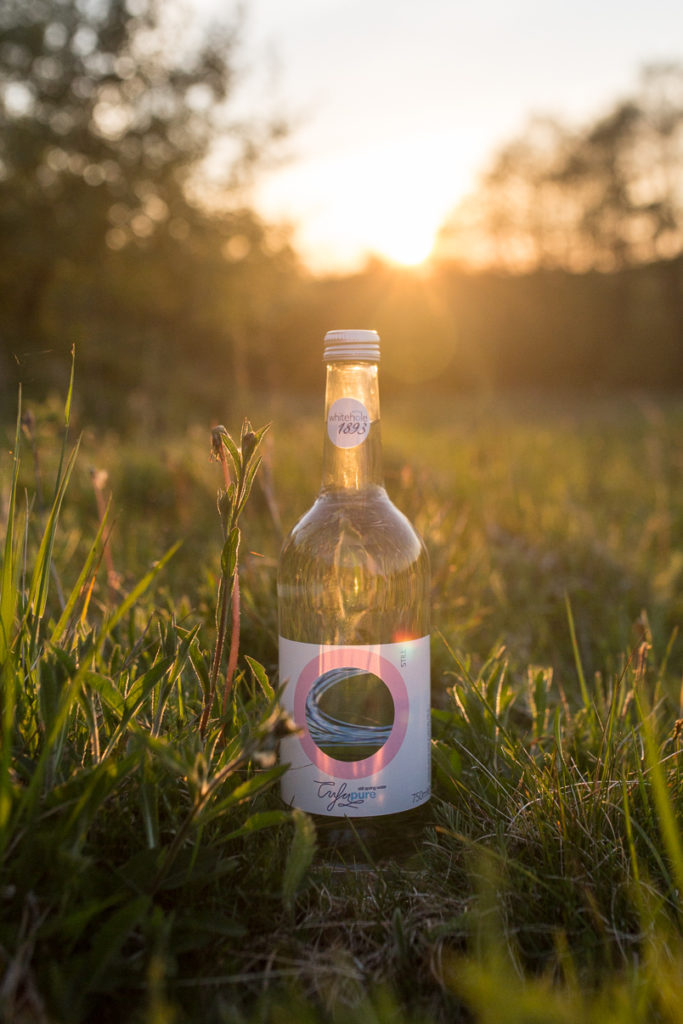 Bottle of mineral water on grass, with sun setting behind it.